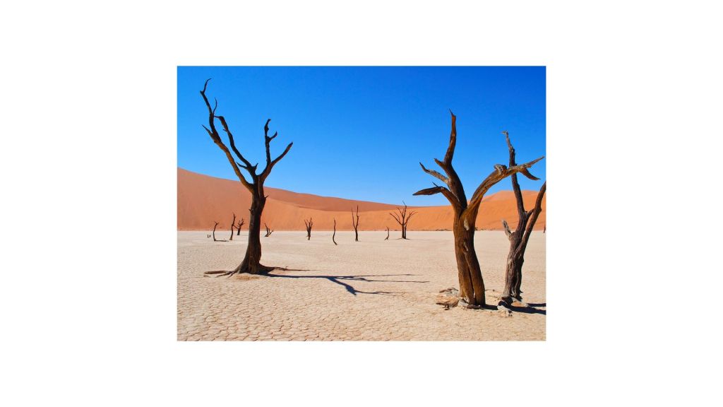 Safari in Namibia tra dune del Namib e lodge panoramici