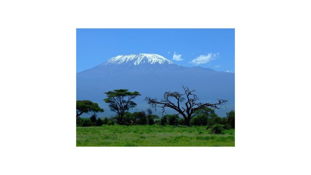 Safari in Tanzania per coppie in viaggio di nozze