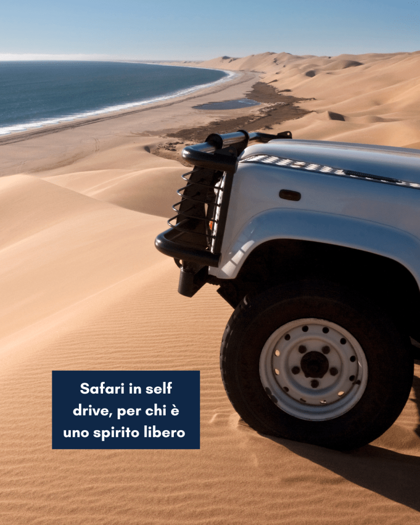Safari in self drive per le coppie indipendenti