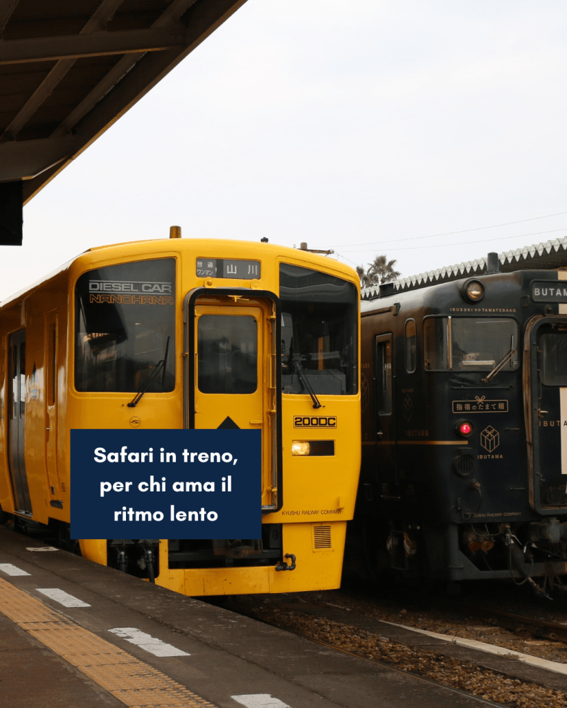 Safari in treno per le coppie romantiche con Rovos Rail 